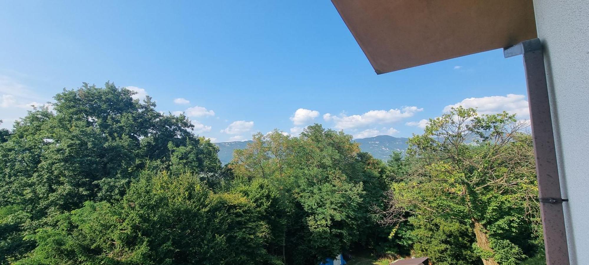 Pri Stari Murvi Vogrsko Exterior foto